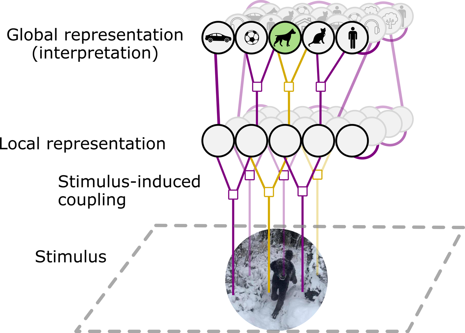 model of bistable perception