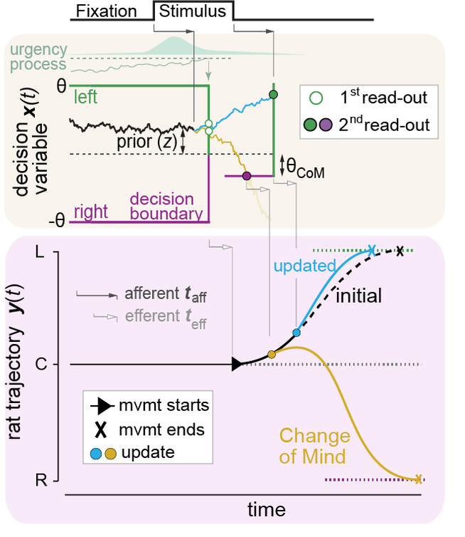 model of changes of mind